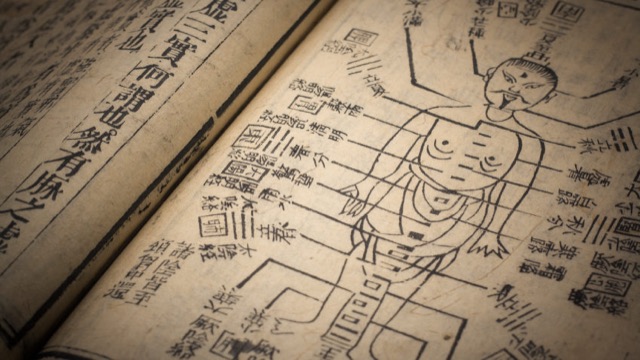 Planche ancienne de points d’acupuncture